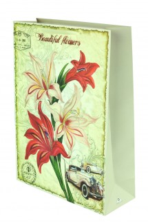 Подарочный пакет большой